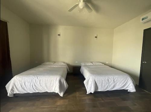 Hotel & Hostal 230 Valladolid Kültér fotó